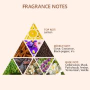 Picture of VASSO HAIR STYLING WAX CLAY ( SPIKE )