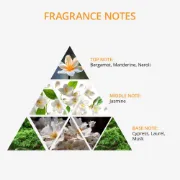 Picture of Vasso S.O.S Treatment Recovery Shampoo