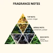 Picture of VASSO EXTENSION HAIR SAMPOO  Condenser