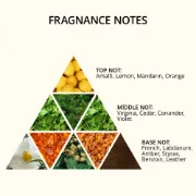 Picture of After Shave Cream Cologne ( Shine Out ) 370 ml