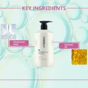 Picture of Aqua Therapy Moisture Boost Shampoo 500 ml