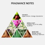 Picture of Eau De Cologne ( City Light ) 370 ml