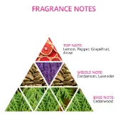 Picture of Eau De Cologne ( Jazz Night ) 370 ml