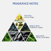 Picture of Mnemonic Styling Gum ( Stiff ) 500 ml