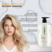Picture of S.O.S Treatment Recovery Shampoo 500 ml