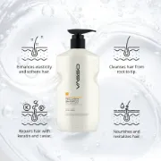 Picture of S.O.S Treatment Recovery Shampoo 500 ml