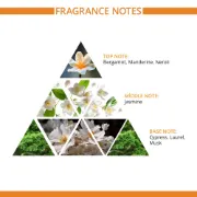 Picture of S.O.S Treatment Restorative Cream Mask 525 ml